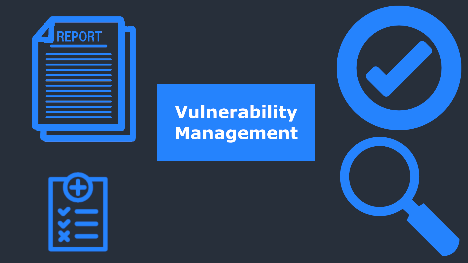 Vulnerability Management 